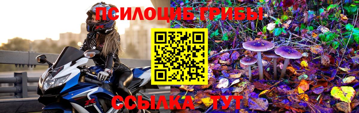 Псилоцибиновые грибы MAGIC MUSHROOMS Нальчик