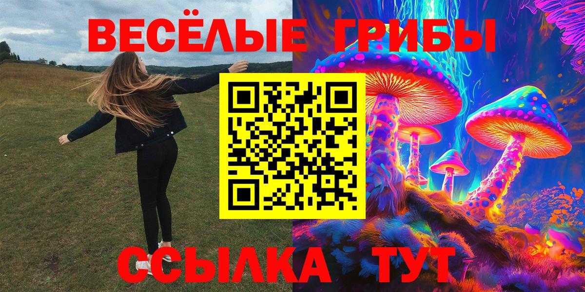 Галлюциногенные грибы MAGIC MUSHROOMS  даркнет сайт  Вход с VPN  Нальчик  Галлюциногенные грибы прущие грибы 